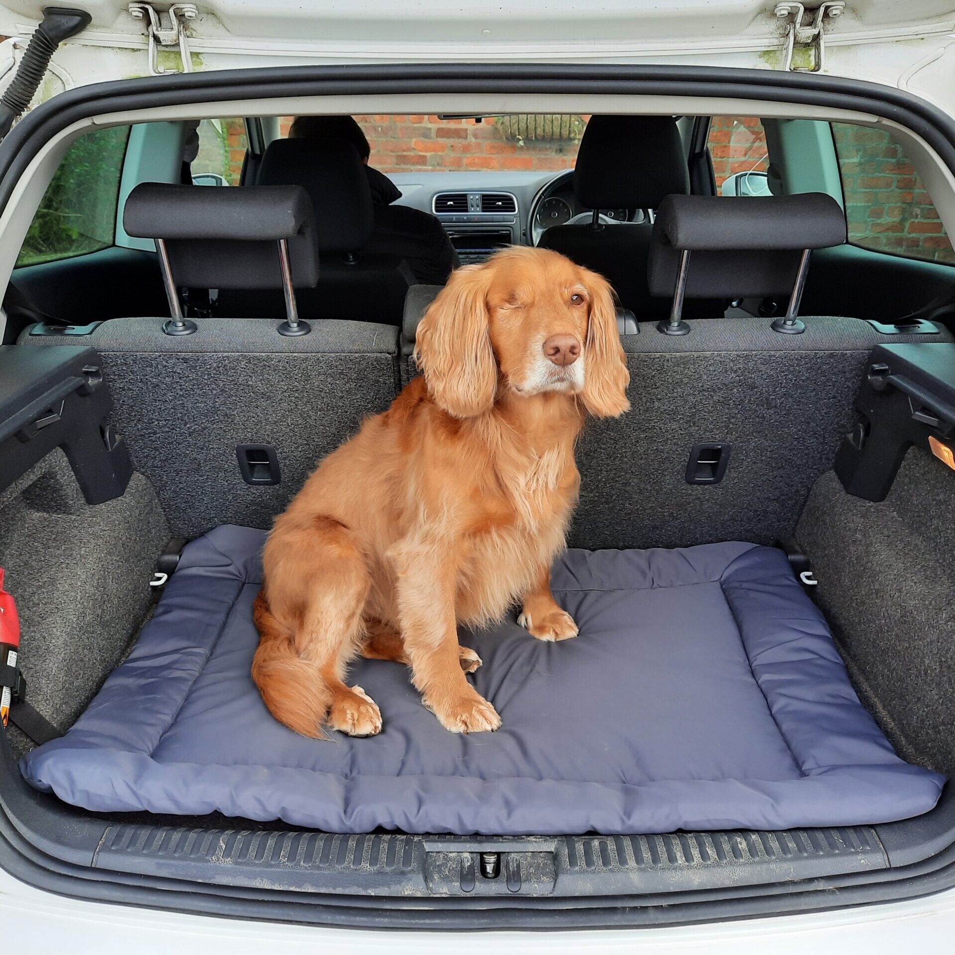 Portable Roll-Up Waterproof Bed